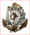 Insigne de béret des parachutistes des Troupes de Marine